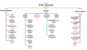 equity IdealRatings